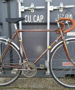 Vélo Randonneur Delisle / Taille 54.5 Cm