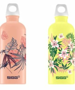 Bidon Vélo SIGG Florid 600 Ml