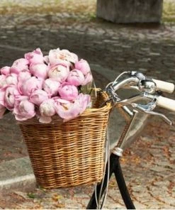 Grand Panier Sur Guidon De Vélo En Rotin Darcy L Basil -VTT Boutique grand panier sur guidon de velo en rotin darcy l basil full 5