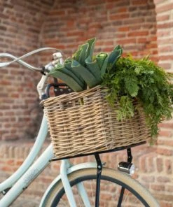 Porte-bagages Avant Pour Vélos De 20 à 24 Pouces Steco -VTT Boutique porte bagages avant pour velos de 20 a 24 pouces steco full 4