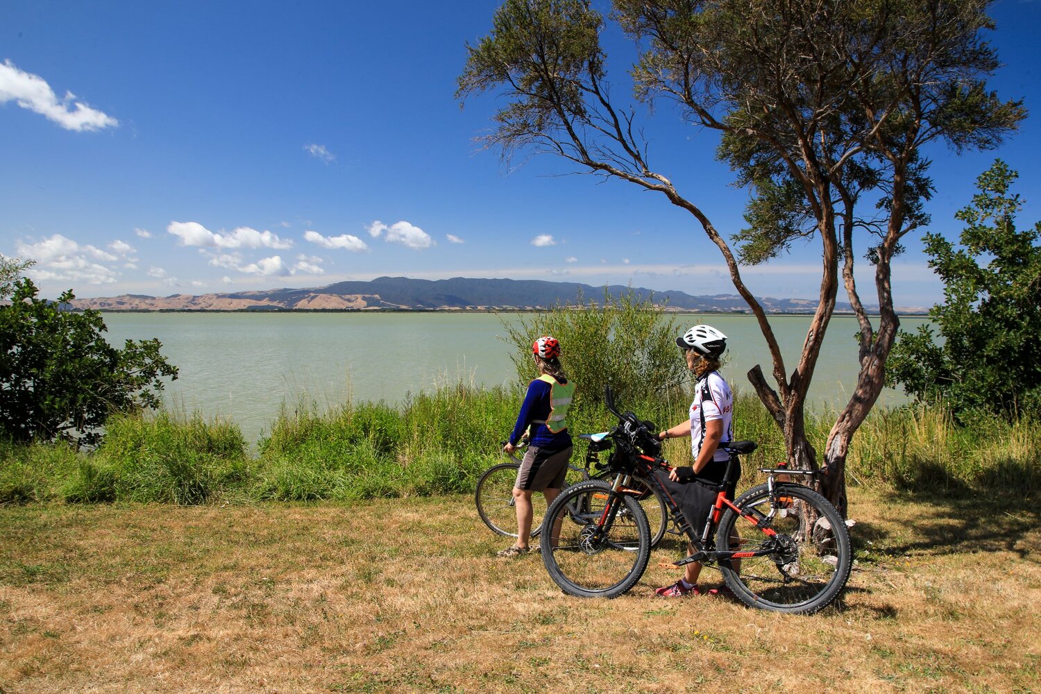 VTT Boutique -VTT Boutique resize1.1.4Cyclingbanner